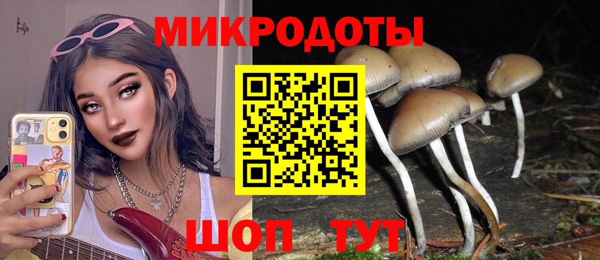 Галлюциногенные грибы мухоморы Гусь-Хрустальный
