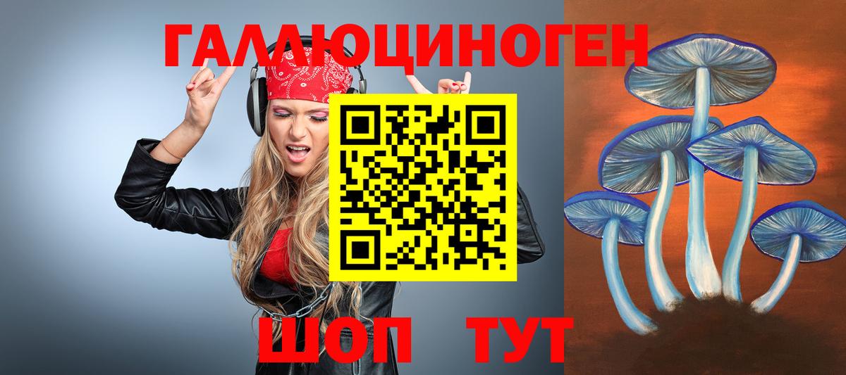 хочу наркоту  Псилоцибиновые грибы Psilocybe  Вход с VPN  Гусь-Хрустальный  Галлюциногенные грибы Magic Shrooms 